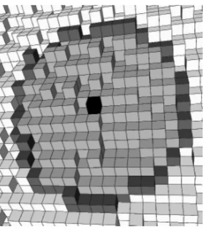 Fig. 5. The outline (in dark grey) of a width-2 grey patch centered at the black point.