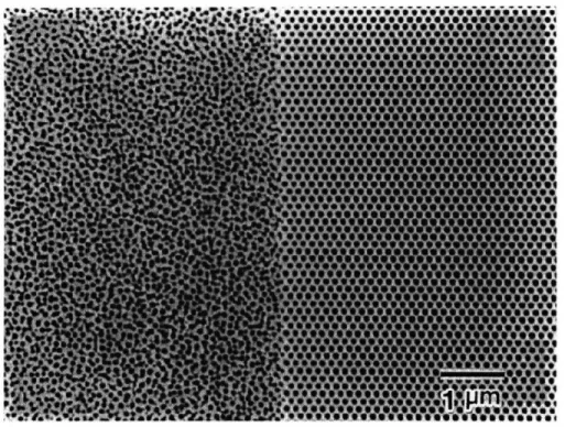 Figure  9 - SEM  images  of AAO surfaces.  Right: the AAO is anodized  after pretexturing with  a SiC  mold  by mechanical  molding