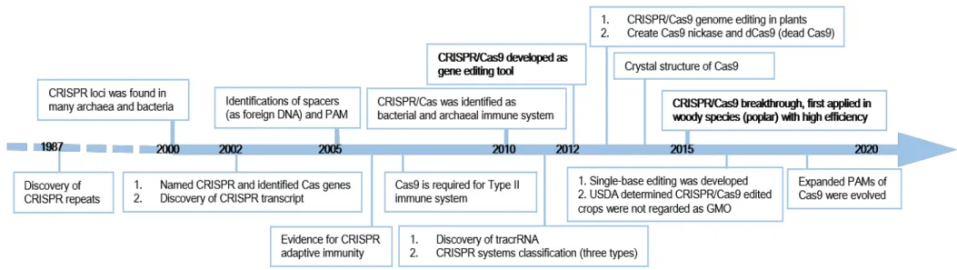Figure I-16. Timeline of CRISPR/Cas9 genome editing key developments and progress in plants (Adapted from (Han and She, 2017; Mushtaq et al., 2018; Wu et al., 2020))