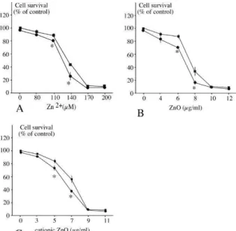 Figure 7: Role of proteasome as a survival factor during zinc treatment 