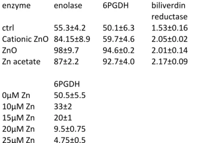 Table 5 : enzyme acitivities measured in control cell extracts and in extracts  prepared from cells treated for 24 hours with either 8µg/ml zinc oxide, or 7µg/ml  cationic zinc oxide, or 100µM zinc acetate