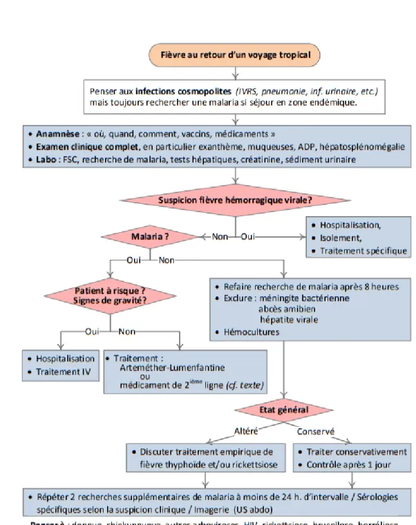 Figure 3 : Prise en charge d’une fièvre au retour d’un voyage [71] 