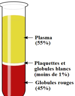 Figure 15  : différents composants du sang après centrifugation ’46) 