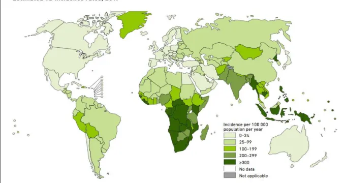 Figure 7: Le taux d'incidence estimé de la tuberculose en 2017 [31]
