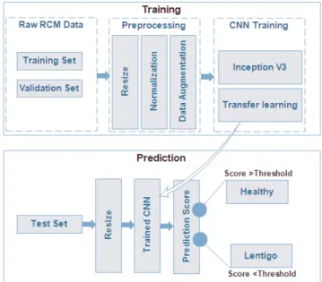 Fig. 2: The CNN architecture model.