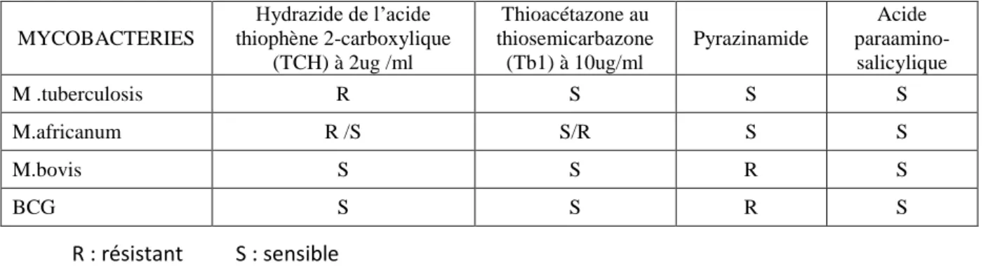 Tableau 3 : Sensibilité du complexe tuberculosis à certaines substances altérant son  métabolisme  MYCOBACTERIES  Hydrazide de l’acide  thiophène 2-carboxylique  (TCH) à 2ug /ml  Thioacétazone au  thiosemicarbazone (Tb1) à 10ug/ml  Pyrazinamide  Acide   pa