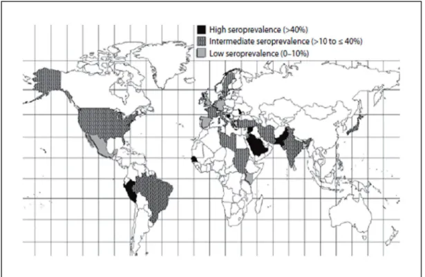 Figure 6 : Sero prévalence de l’HVC chez les hémodialysés à travers   le monde selon les études publiées depuis 1999 jusqu’à 2007 