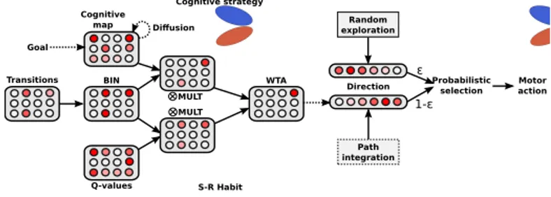 Figure 2: Example of convergence time of the Q-learning with and without the  cog-nitive supervision.