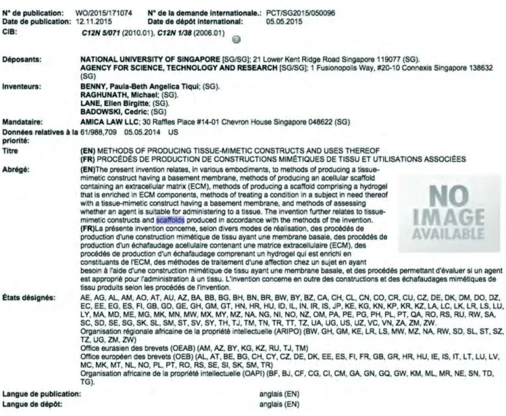 Figure 8. Exemple d’un brevet issu de la base WIPO