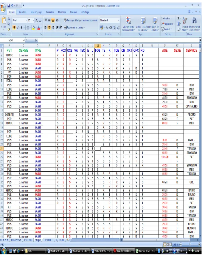 Figure 1 Echantillon prototype du fichier obtenu après recueil, traitement et interprétation des données  exemple de Staphylococcus aureus 