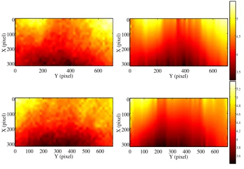 FIG. 5: Comparison between measured (left) and computed (right) displacement fields in pixel relative to specimen 91 (vertical (top) and horizontal (bottom) displacement components).