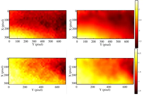 FIG. 7: Comparison between measured (left) and computed (right) displacement fields in pixel relative to specimen 95 (vertical (top) and horizontal (bottom) displacement components).