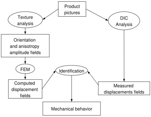 FIG. 1: Different steps of the image-based identification procedure.