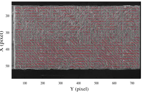FIG. 3: Anisotropy field of specimen 90 superimposed on the original image.
