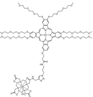 Figure 26. Structure du composé théranostique associant une porphyrine de zinc conjuguée  à un dérivé de dicétopyrrolopyrrole et reliée à un complexe GdDOTA