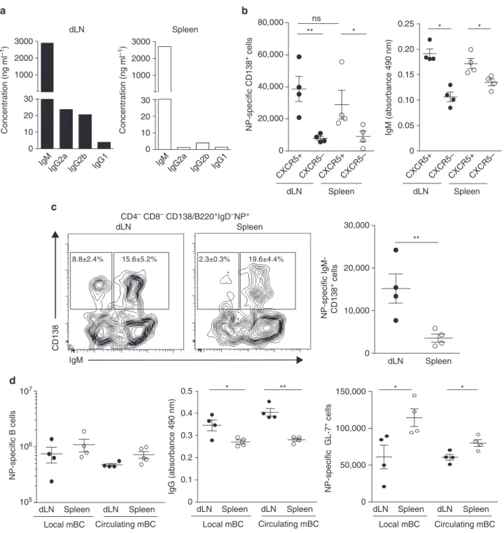 Fig. 7 Local memory Tfh cells are more potent to induce Ig isotype-switch. Naive B cells were stimulated with anti-IgM F(ab) ′ 2 for 24 h and loaded with OVA peptide