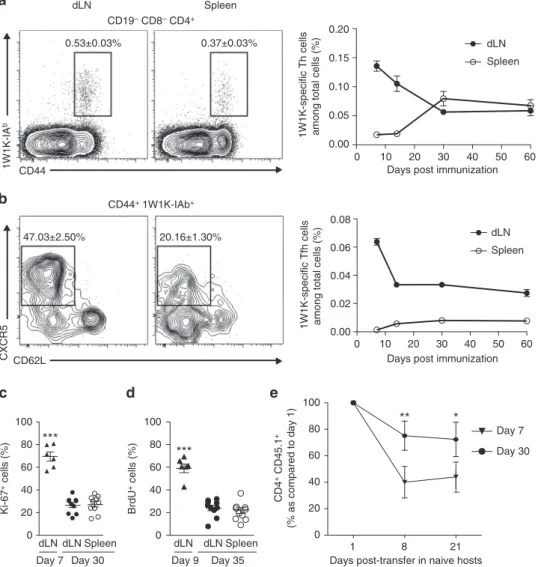 Fig. 1 Tracking local and circulating 1W1K-speci ﬁ c memory Tfh cells. Thirty days after sc immunization with 1W1K-OVA, dLN and spleen were analyzed for the detection of 1W1K-speci ﬁ c activated CD4 + T cells (1W1K-IA b+ CD44 + ) (a) and 1W1K-speci ﬁ c Tfh