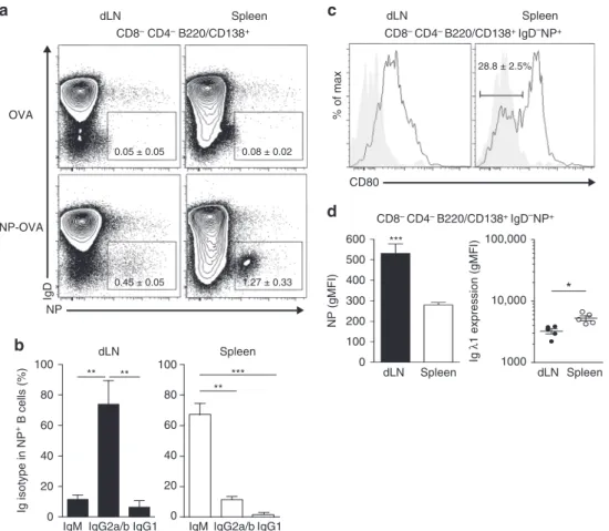 Fig. 5 Tracking local and circulating NP-speci ﬁ c memory B cells. C57BL/6 mice were immunized sc with 100 µ g OVA or NP-OVA