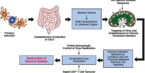Figure 10 : Histoire naturelle de l’infection à VIH, 