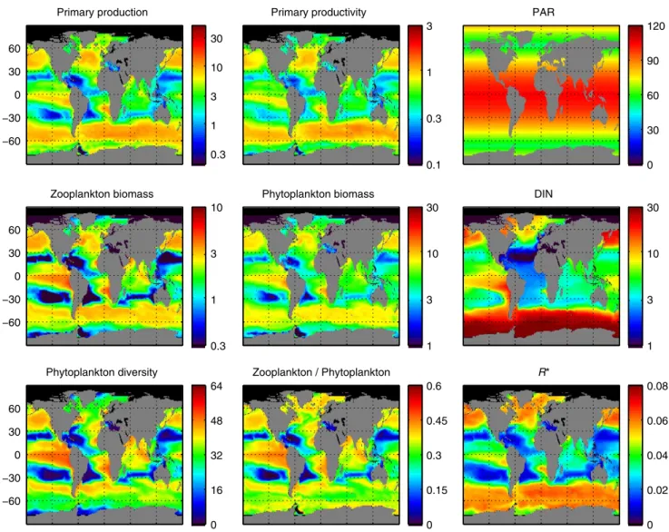 Figure 2 | Global ocean maps of annually averaged model outputs. Primary production (mmol C m  3 d  1 ); primary productivity (d  1 );