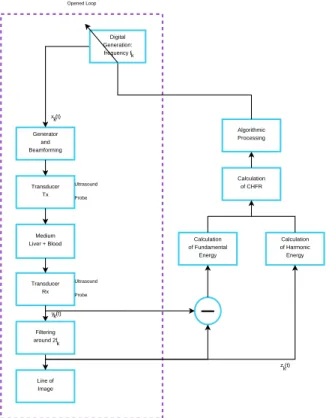 Figure 1: Block diagram of adaptive tissue harmonic imaging.