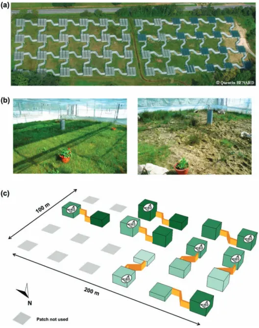 Figure 1. (a) Aerial photograph of the Metatron. The basic units of the Metatron are cages of 10    10 m, 2 m height fenced by tarps near  the ground and a solid entomological net above, with herbaceous vegetation mowed twice a year