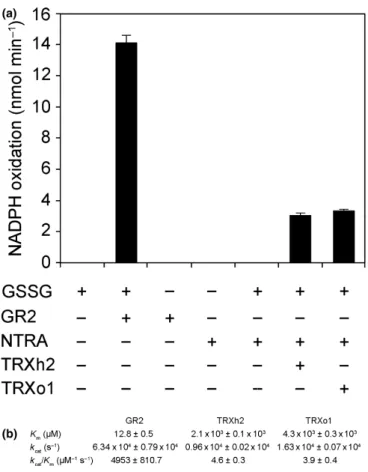 Fig. 9 Mitochondrial TRXs in conjunction with NTRA from Arabidopsis can reduce GSSG in vitro