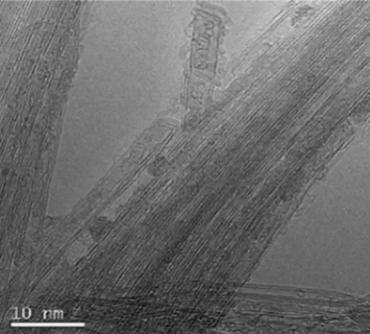 Fig. 1 presents an HRTEM image of the GdCl 3 @DWNTs clearly showing the successful filling of the nanotubes where the GdCl 3