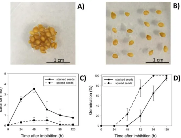 Fig. 1. Photographs to show distribution of A) 40 seeds stacked in a 1 cm 2 area and B) part of the 40 seeds spread over a 10 cm 2 area; C) ethanol content in germinating seeds that were either stacked or spread out, over time after imbibition; D) germinat