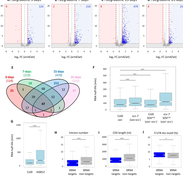 Figure 4 : Identification and features of XRN4 co-translational decay targets across development