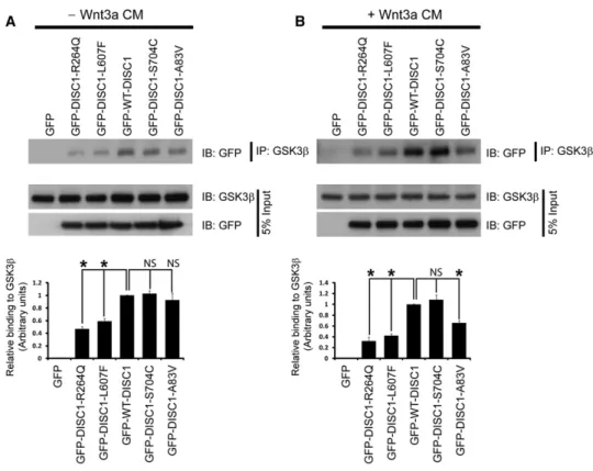 Figure 2. DISC1 Variants Have Altered Interaction with GSK3 b