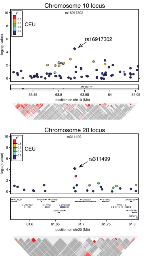 Figure 1. Association signals, genetic structure, and linkage disequilibrium of the novel modifier loci of BRCA2 penetrance in the regions surrounding rs1691730 on chromosome 10 and rs311499 on chromosome 20