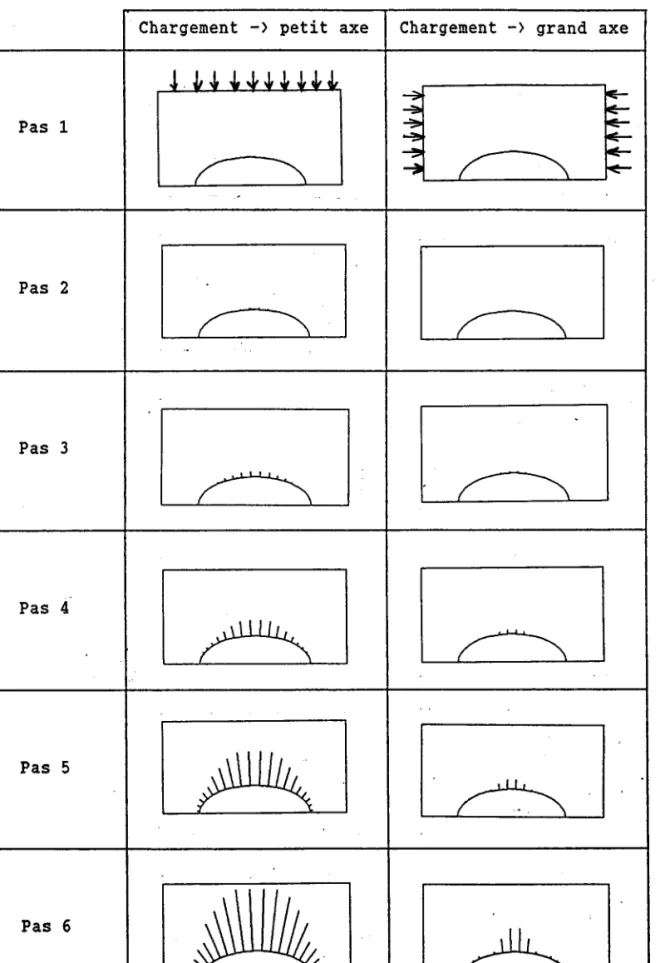 Figure  3.15:  Visualisations  de  d(s)  Chargenents  uniaxiaux