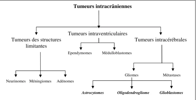 Figure 1 : Sommaire des tumeurs intracrâniennes selon leur localisation et leur origine.