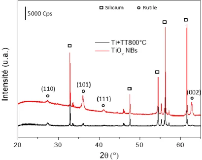 Figure II.17 : Analyse DRX de la couche d’accroche de titane oxydé avant (Ti+TT800°C) et après  synthèse hydrothermale 