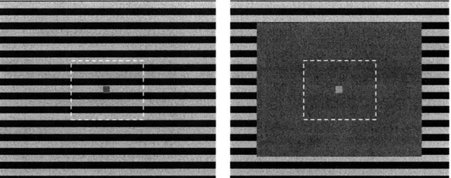 Figure  1. Adapting  stimuli  for  Experiment  1. Each  stimulus  filled  the  screen