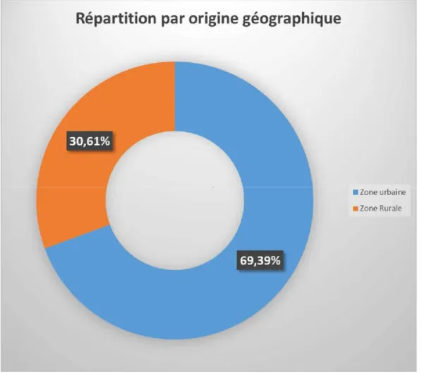 Figure 5: Répartition(%) des patients selon leur origine géographique. 