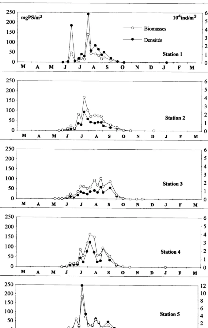 Figure 32: Variations  saisonnièrer des densites et des biomasses Diaphanosoma brachSurum (mars 1992 - man  1993).