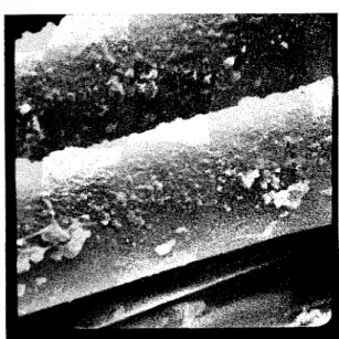 Figure  11  GRP sheet aged for 1200 cycles in  the Weather-  Ometer  (  &gt;:  2900). 