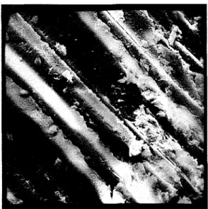 Figure  15  G R P  sheet  aged  for  40  cycles  in  the  Climate  Lab  (:i  680). 