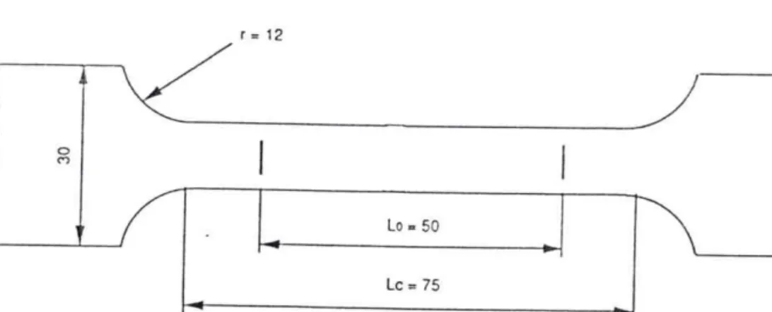 Fig. III- I Dimension des