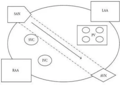 Figure 7: Schématisation de la méthode du corridor par Guiraudon 