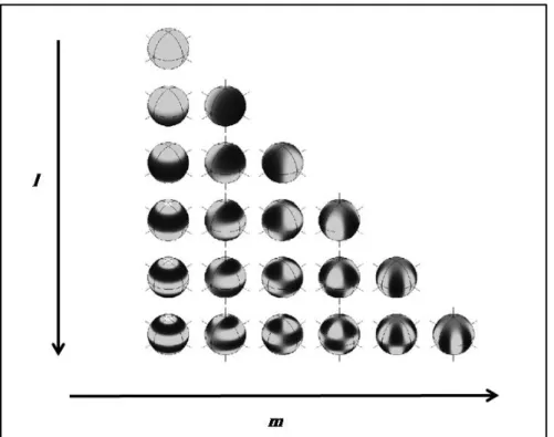 Figure 14 : Représentation de la base de fonctions orthogonales d'harmoniques sphériques 