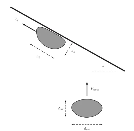 FIG. 1. Sketch of bubble terminal and wall conditions. Away from the wall, the bubble ascends at V term , with a constant aspect ratio d ma /d mi , where d ma and d mi measure the major and minor axis of the bubble