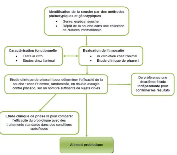 Fig 2    Guide pour l’évaluation des probiotiques en utilisation alimentaire  [ 11 ].