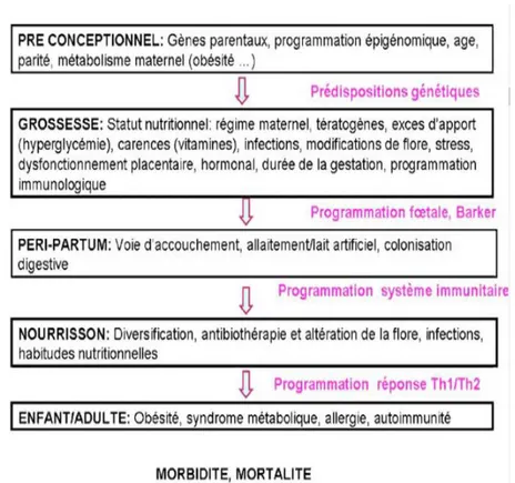 Figure 9 : Synthèse des facteurs développementaux et environnementaux modifiant  l’implantation du microbiote et impliqués dans la survenue de morbi-mortalité : combinaison 