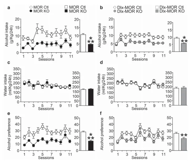 Fig. 4a: t 24 = 1.5, P = 0.15; Dlx-MOR: Fig. 4c: t 23 = 0.5, P = 0.6) and quinine (MOR KO: Fig