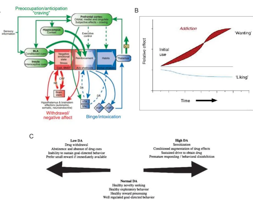 Figure 4. Addiction models