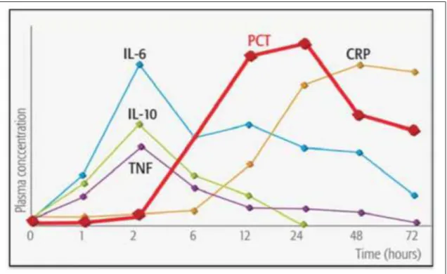 Figure 5: Cinétique de différents marqueurs d'inflammation [18]. 