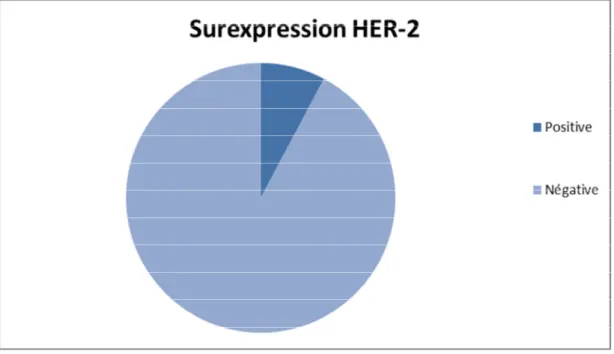 Figure 13 : Répartition selon la surexpression de HER2 